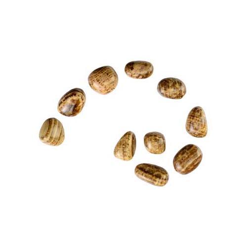 1 Lb Aragonite Tumbled Stones - Nakhti By Kali J.N.S
