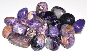 1 Lb Charoite Tumbled Stones - Nakhti By Kali J.N.S