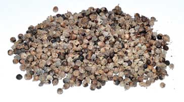 1 Lb Chaste Berries Whole - Nakhti By Kali J.N.S