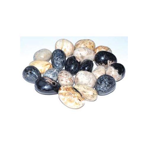 1 Lb Palam Root Fossil Tumbled Stones - Nakhti By Kali J.N.S