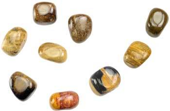 1 Lb Petrified Wood Tumbled Stones - Nakhti By Kali J.N.S