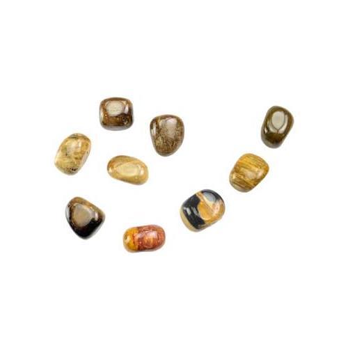 1 Lb Petrified Wood Tumbled Stones - Nakhti By Kali J.N.S