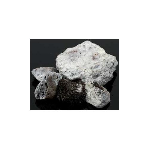 1 Lb White Lodestones - Nakhti By Kali J.N.S