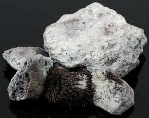 1 Lb White Lodestones - Nakhti By Kali J.N.S