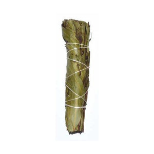 4" Eucalyptus Citridora Smudge Stick - Nakhti By Kali J.N.S