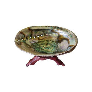 5"- 6" Abalone Shell Incense Burner With Stand - Nakhti By Kali J.N.S