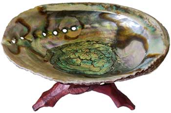 5"- 6" Abalone Shell Incense Burner With Stand - Nakhti By Kali J.N.S