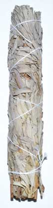 9" White Sage Smudge Stick - Nakhti By Kali J.N.S