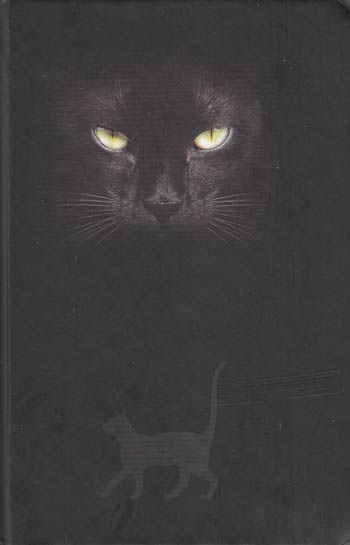 Cat's Eyes Journal (hc)