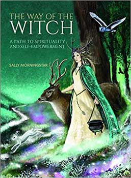 Way Of The Witch By Sally Morningstar