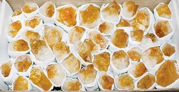 ~2kg Flat Of Citrine Points