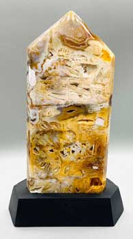 1.3-1.7# Agate Polished On Wood Base