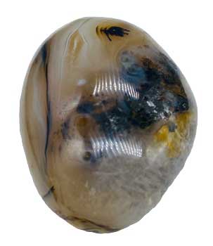 Agate, Dendritic Palm Stone