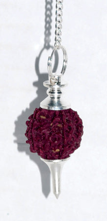 Sephoroton Rudraksha Pendulum