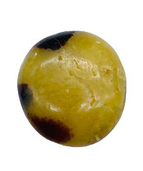 Jasper,septarian Palm Stone