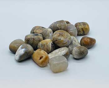 1 Lb Agate, Dendritic Tumbled