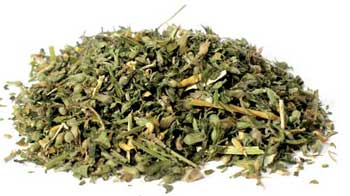 Catnip Cut 2oz  (nepeta Cataria)