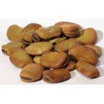 Mojo Wish Bean 2oz (vicia Faba)