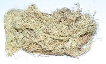 Usnea Lichen Whole 2oz