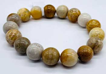 12mm Agate, Fossilized Coral Bracelet