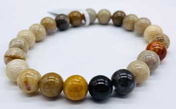 8mm Agate, Fossilized Coral Bracelet
