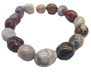 Coral, Fossilized Nugget Bracelet