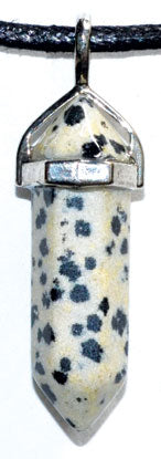 Joy (dalmation) Double Terminated