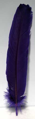 (set Of 10) Purple Feather 12"