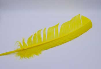 (set Of 10) Yellow Feather 12"