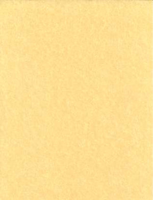 Light Parchment Paper 25 Pack  (8 1-2" X 11")