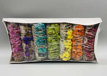 4" 7 Color Sinuata White Sage Gift Pack