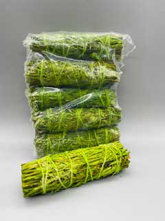 6 Pk 4" Patchouli Sage