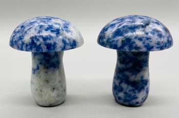 (set Of 2) 1 3-4" Mushroom Sodalite