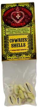 Cowries Shells (coquilles Cauries)