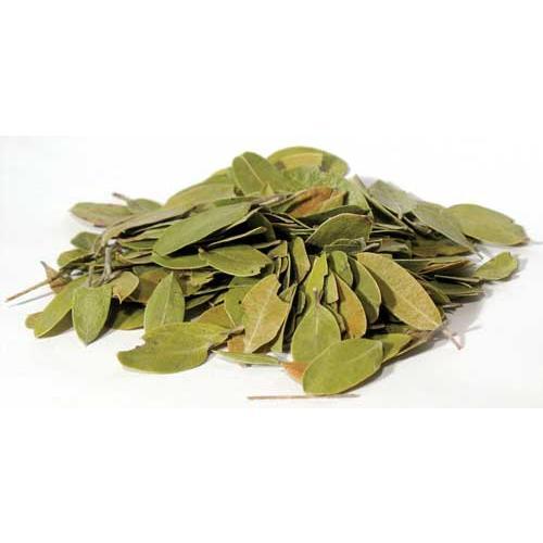Bearberry Mexican Whole 1oz (uva Ursi) - Nakhti By Kali J.N.S