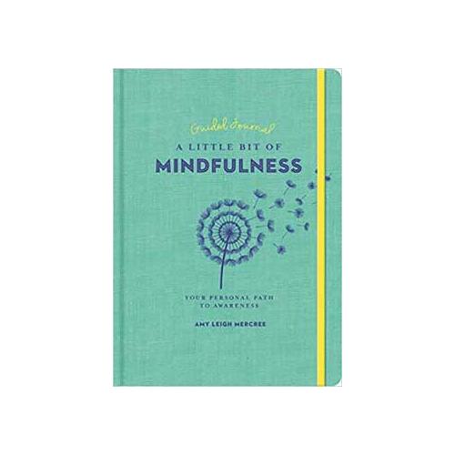 Little Bit Of Mindfulness (hc) By Amy Leigh Mercree
