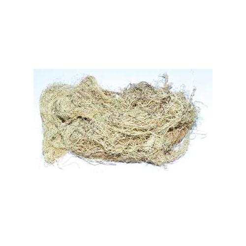 Usnea Lichen Whole 2oz