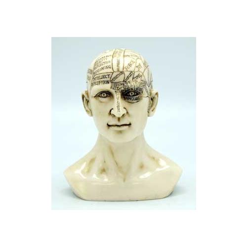6" Phrenology Head