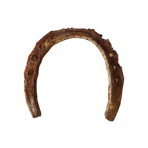 Used Horseshoe