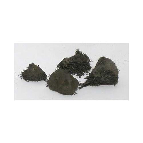 Natural Lodestones 1 Lb